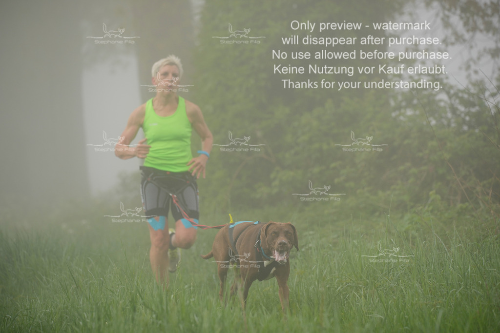 SA_GL2-99 | stephaniefillaphotographie - Realisiert mit Pictrs.com