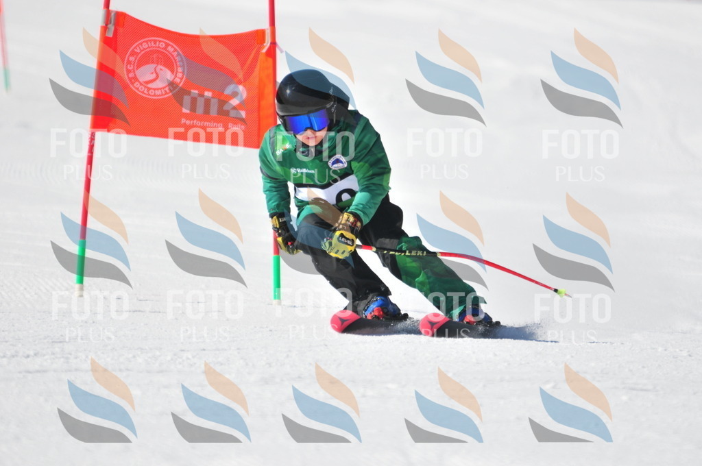 C3182 | holidayphoto