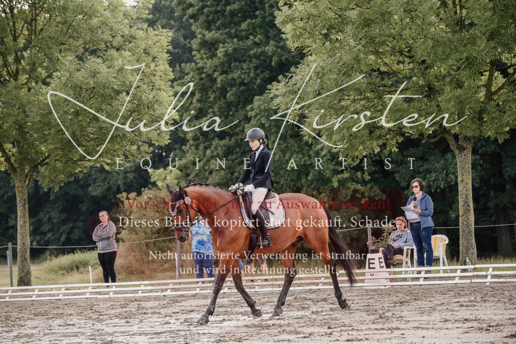 DSC_8185 | Pferde- und Turnierfotografie in Westsachsen. Pferdeportraits, Auftragszeichnungen und intuitive Kunst.