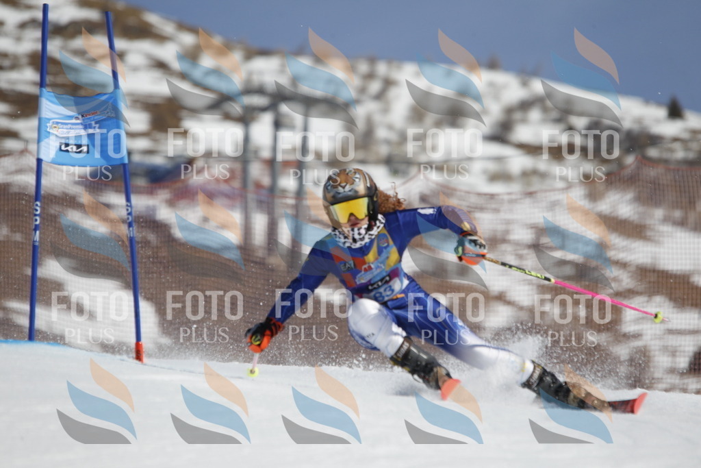 _U3G0049 | holidayphoto