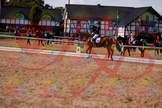 2026_10_03_Siefer-Hof_133143_Z81_86160757 | Professionelle Reitsport-, Turnier- und Eventfotografie von Robert Broda. Galerien mit ausgewählten und bearbeiteten Bildern direkt online ansehen und bestellen.