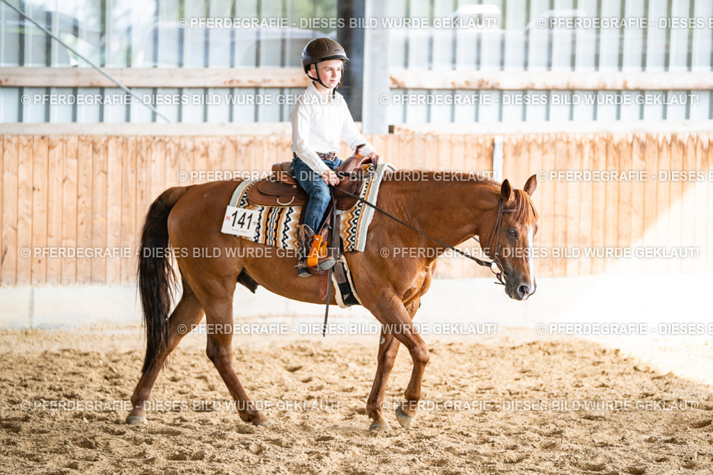 DSC09087 | Pferdegrafie