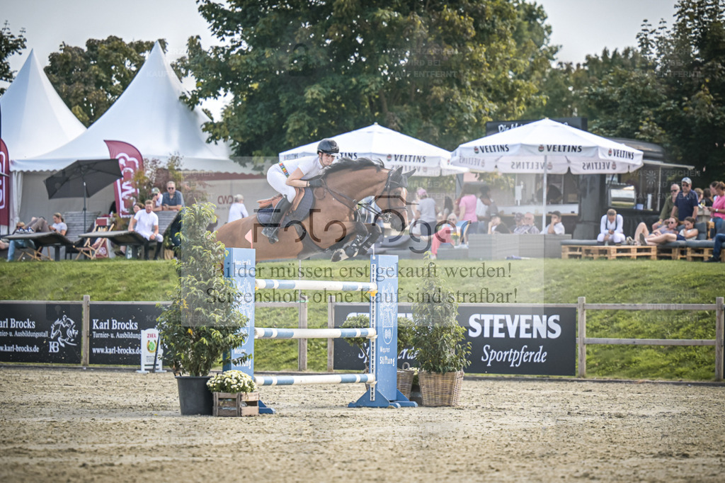 DOS_0464 | Entdecke hochwertige Reitturnierfotos von Foto Oger. Professionell, emotional und authentisch – jetzt Lieblingsmomente im Shop bestellen. - Realisiert mit Pictrs.com