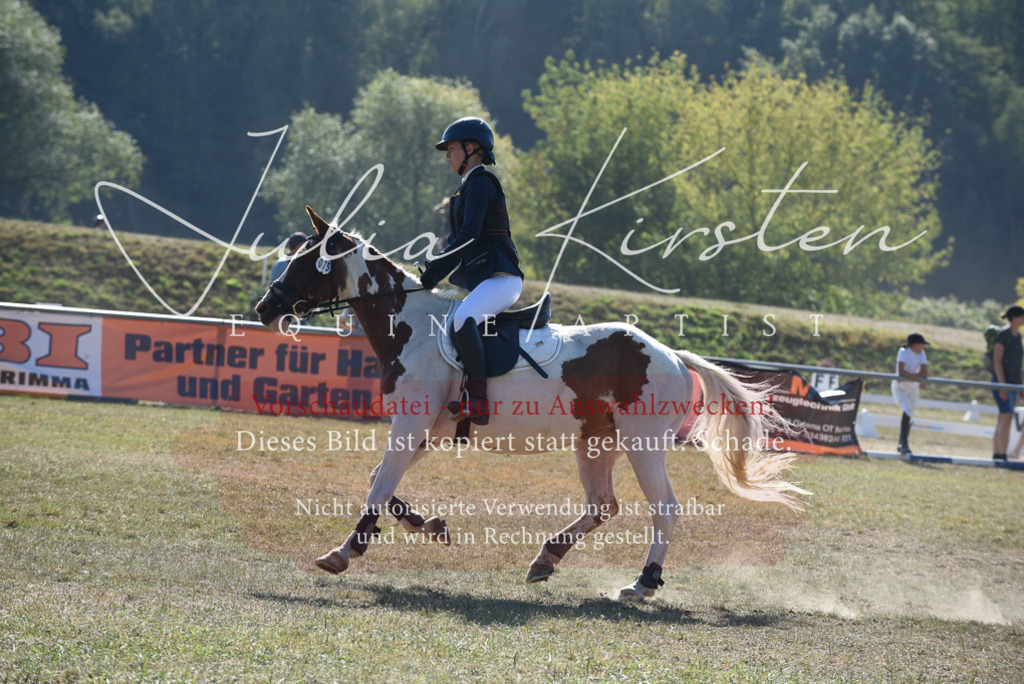 DSC_6029 | Pferde- und Turnierfotografie in Westsachsen. Pferdeportraits, Auftragszeichnungen und intuitive Kunst.