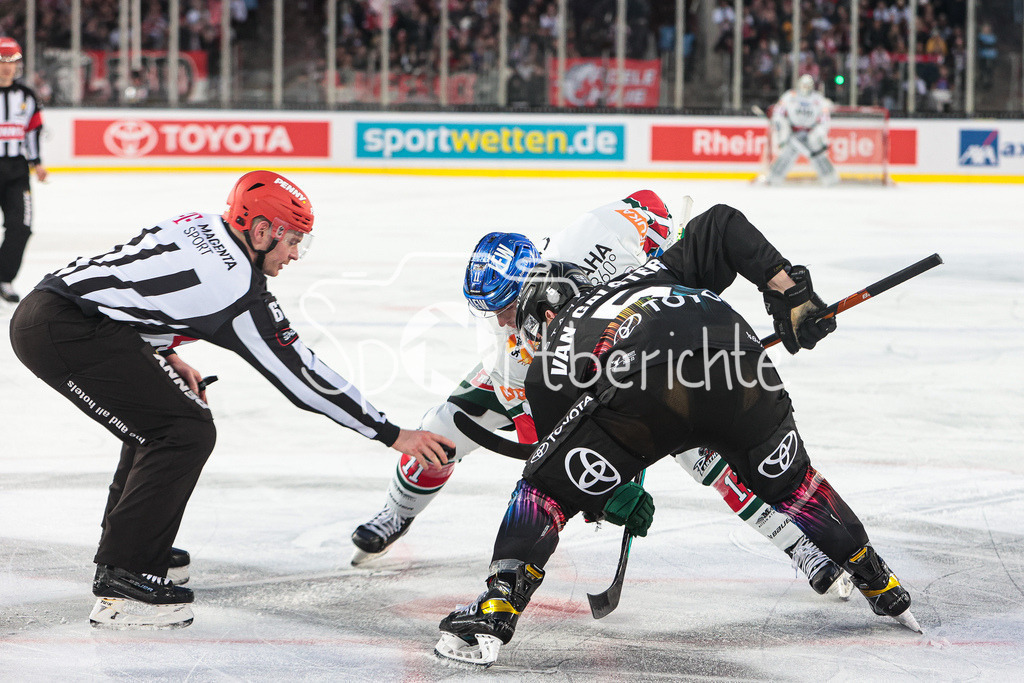 Kölner Haie - Augsburger Panther | Adam PAYERL (AEV #11) beim Bully gegen Robin Van CALSTER (KEC #5)