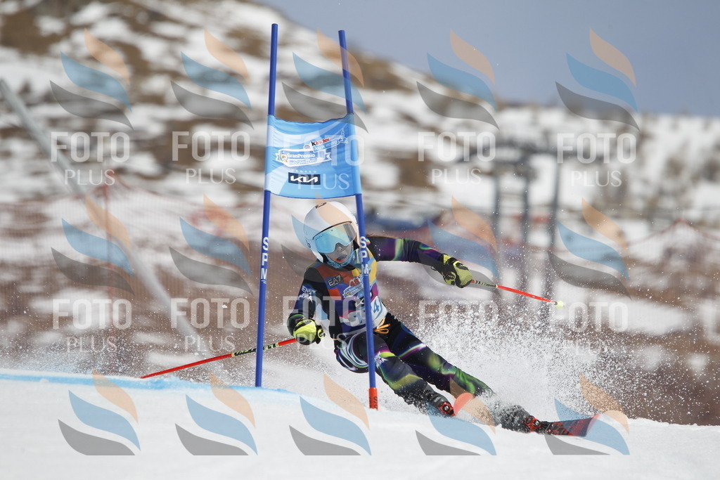 _U3G1611 | holidayphoto