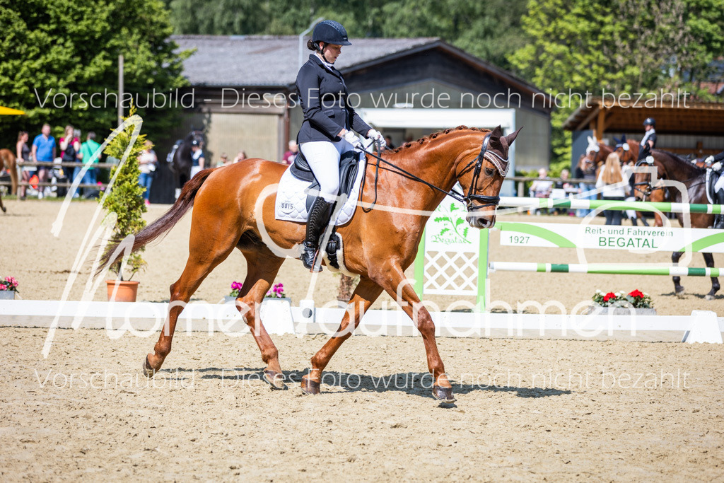 Donop24-L-Dre-061 | MomenTaufnahmen Pferdesportfotos