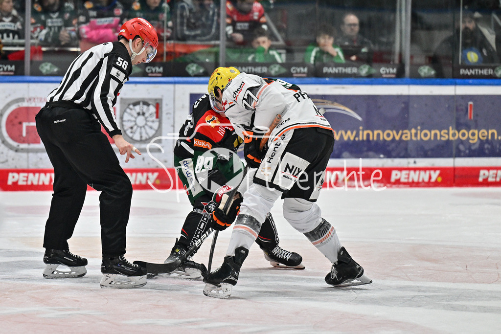 Augsburger Panther - Löwen Frankfurt  | Linienrichter Yannik KOZIOL wird den Puck fuer das Bully zwischen Mark ZENGERLE (Augsburger Panther #89) und Daniel PFAFFENGUT (Löwen Frankfurt #77) ein / DEL: Augsburger Panther - Loewen Frankfurt, Curt Frenzel Stadion am 12.01.2025