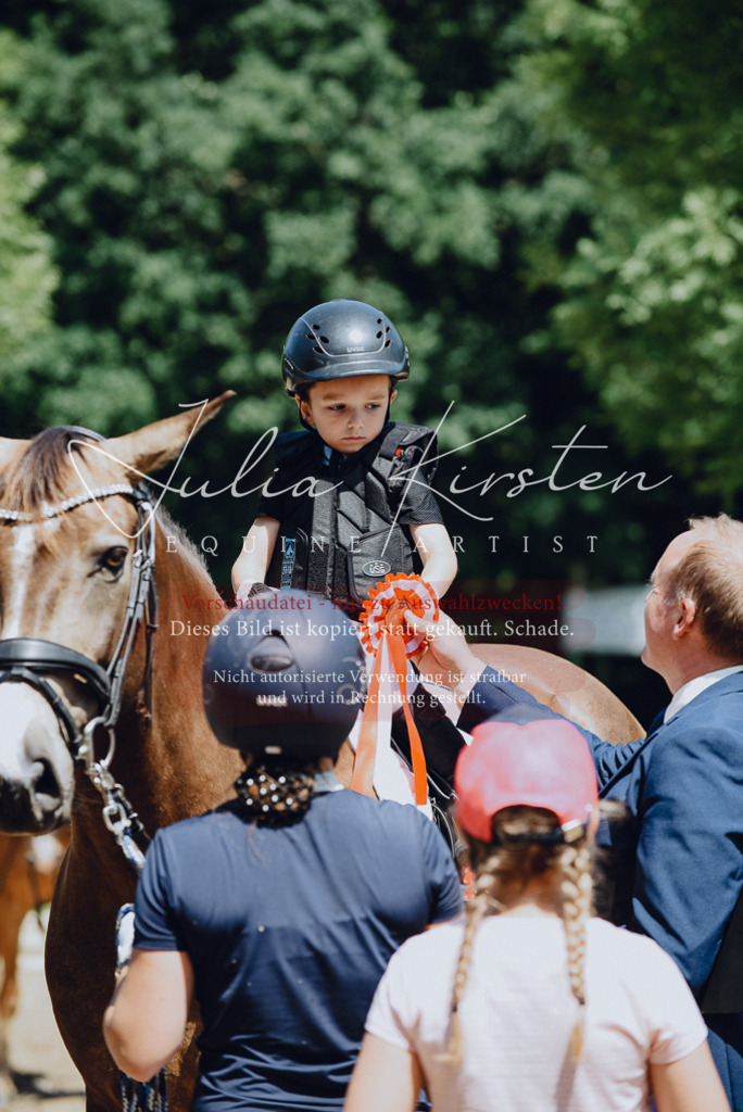 DSC_2643 | Pferde- und Turnierfotografie in Westsachsen. Pferdeportraits, Auftragszeichnungen und intuitive Kunst.