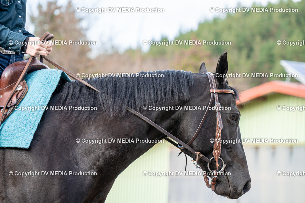 BAL02821 | dv-media-shop - Realisiert mit Pictrs.com