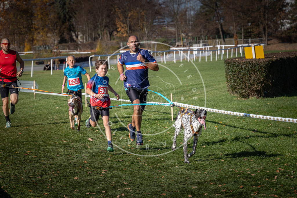 CaniXpix_0L8A6560 | Hundefotografie, Tierfotograf, Pfotenfotografie, Fotoshooting Hund, Hunde Portrait, Hundesport, Hundeportraits, Heideshooting, Hunde, Sportfotograf, Hundefotograf, Turnierhundsport, THS,  - Realisiert mit Pictrs.com