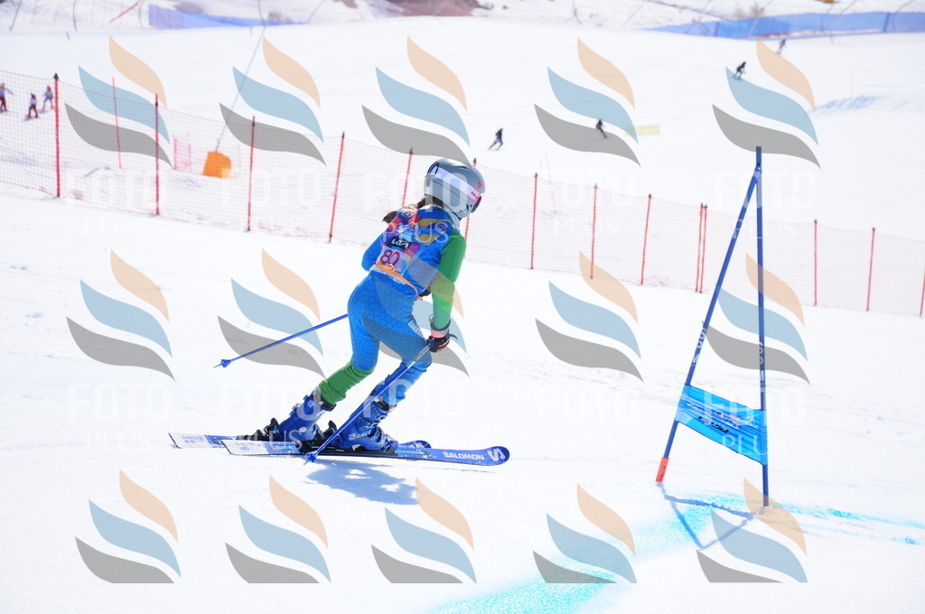 DSC_4520 | holidayphoto