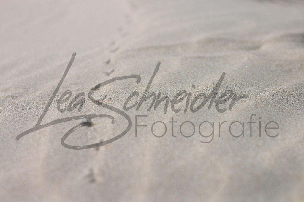 Meer 7 | Vogelspuren im Sand auf Amrum. - Realisiert mit Pictrs.com
