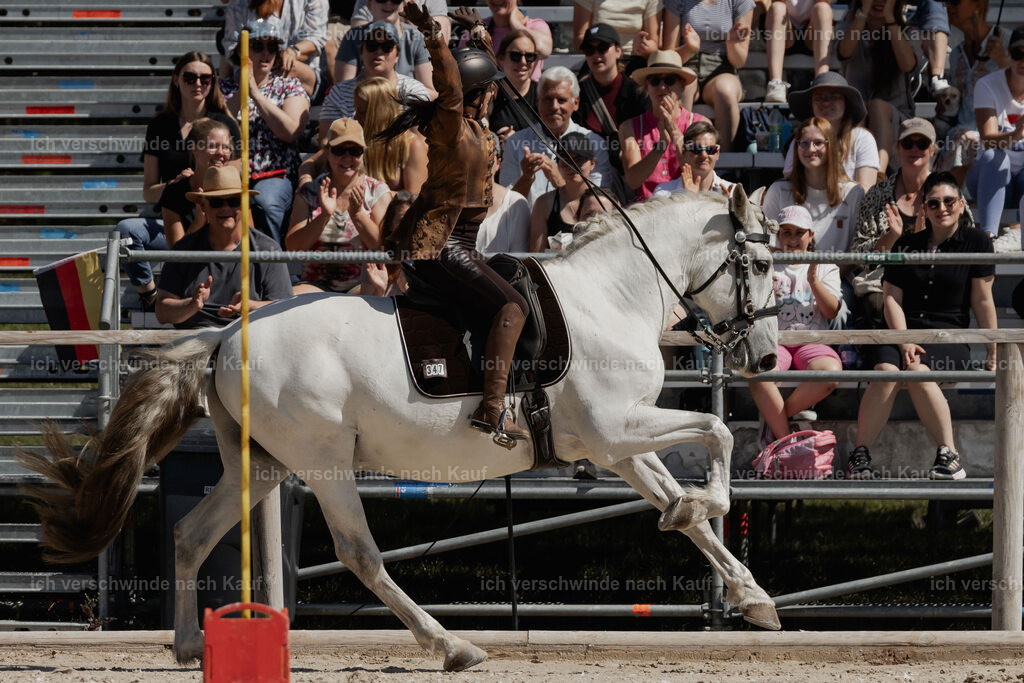 WE_SP_Stoib_347_PI2025_1563 | Pferd International München 2025