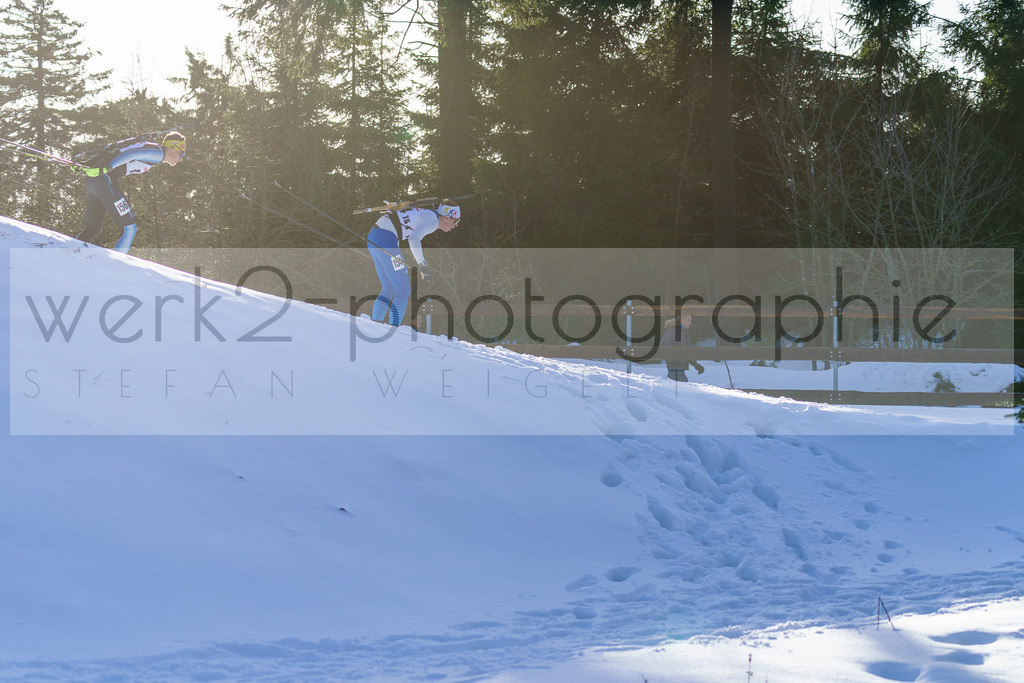 DP Oberwiesenthal | Alpencup/DP Deutschlandpokal in Oberwiesenthal am 15.-17.12.2023