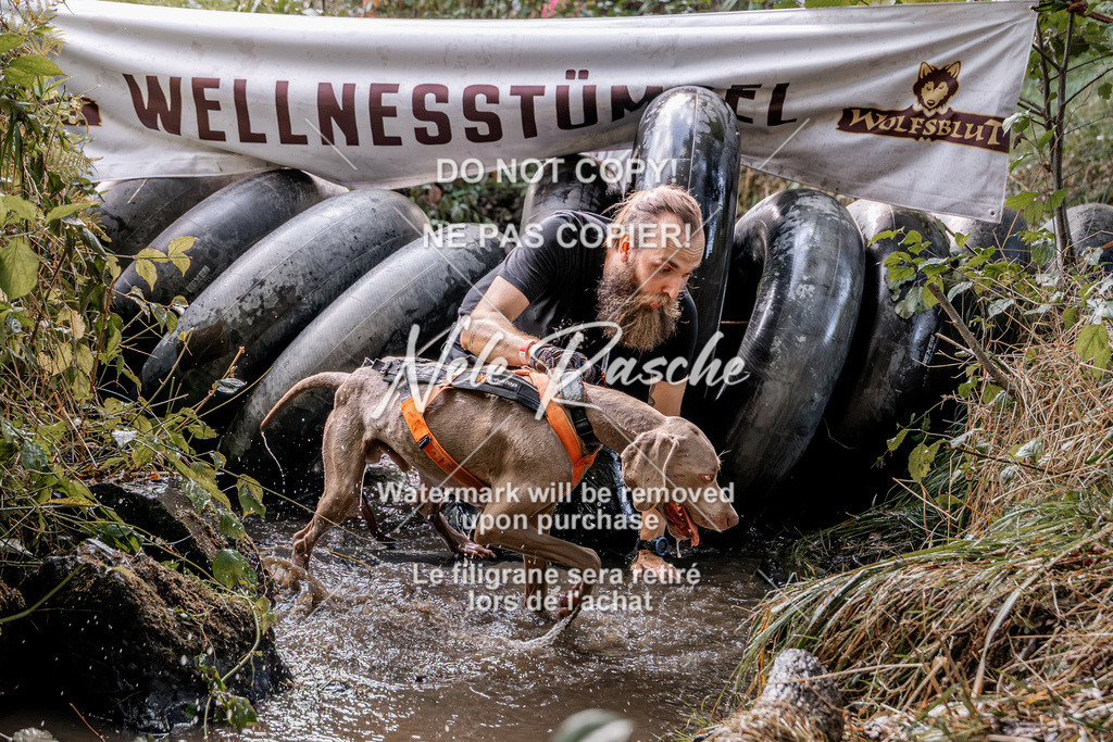 nelerasche_Hunsrück2026_Sa1400-1500_289 | nelerasche