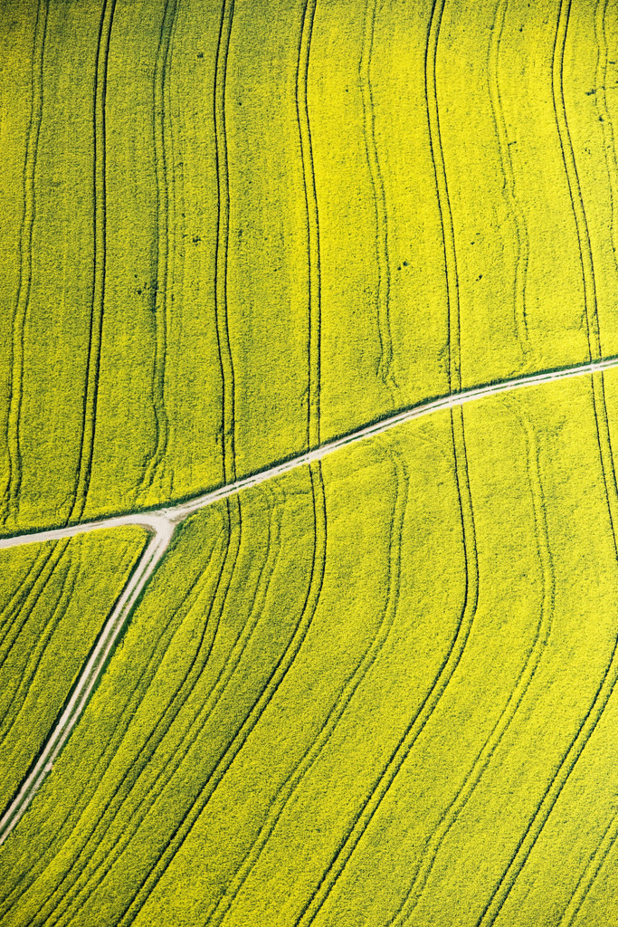 dr__0012366.jpg | RODING 11.05.2017 Feld- Landschaft gelb blühender Raps- Blüten in Roding im Bundesland Bayern, Deutschland. // Field landscape yellow flowering rapeseed flowers in Roding in the state Bavaria, Germany. Foto: Daniel Reiter