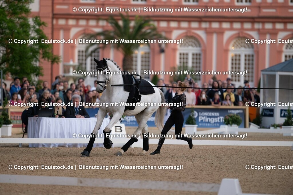 20230527_Voltigieren_NASPA_Flutlicht_0075 | equistock