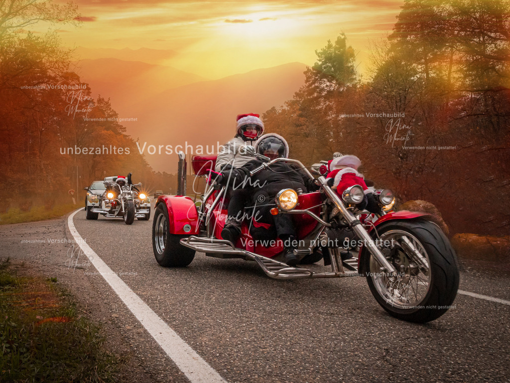 _16A2925-1 | Einzigartige Fotos von Hunden & Menschen –Actionfotos, Portraits, Vereinsaufnahmen & Paarshootings – authentisch, lebendig & mit Herz.