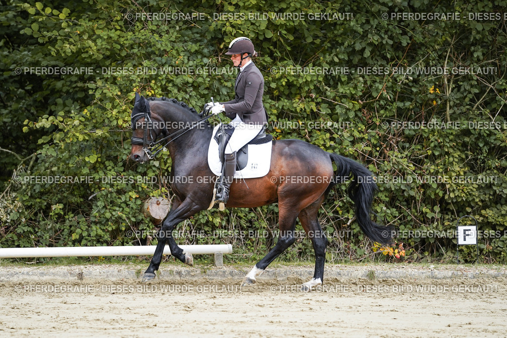 DSC08755 | Pferdegrafie