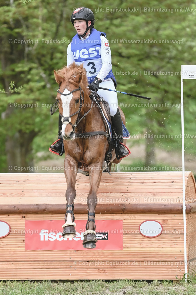 20230513_CCI4_Gelände_0539 | equistock