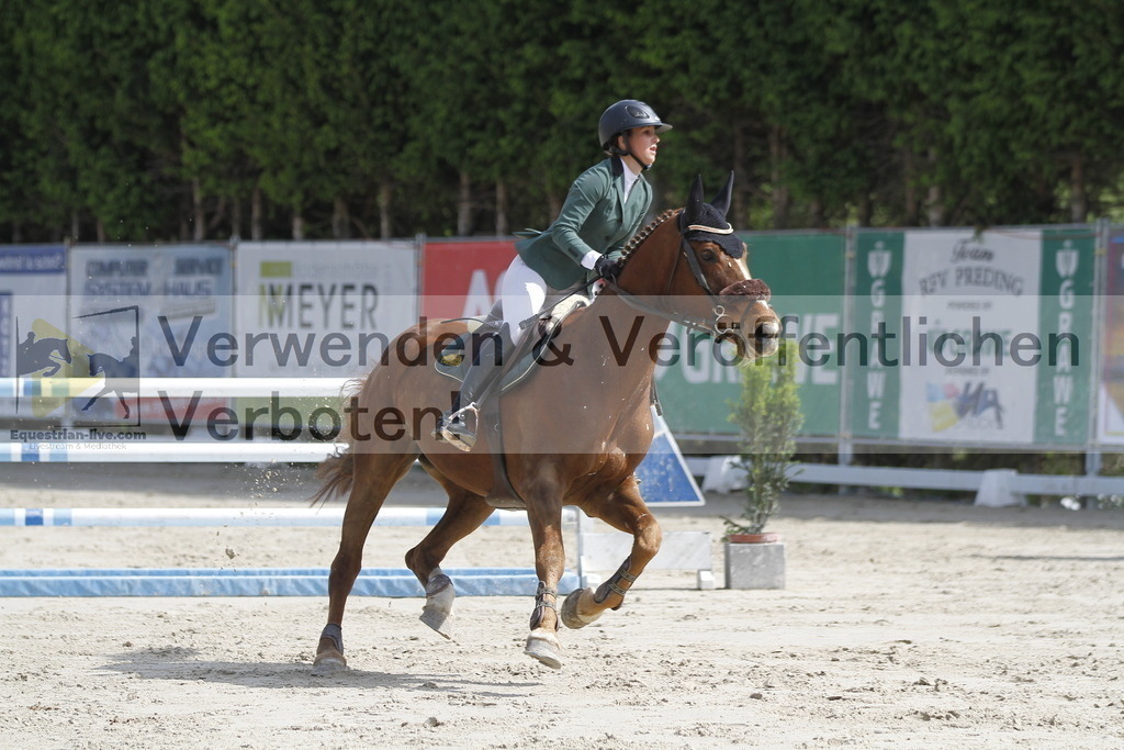 _MG_8956 | equestrian-live-com