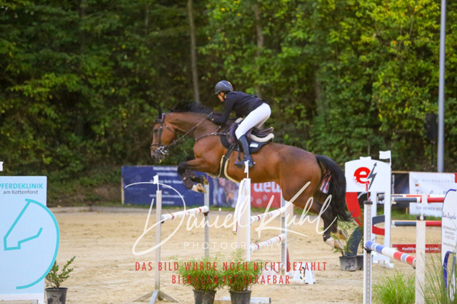 IMG_6240 | Turniersportfotografie; Pferdefotografie; Dressurfotografie