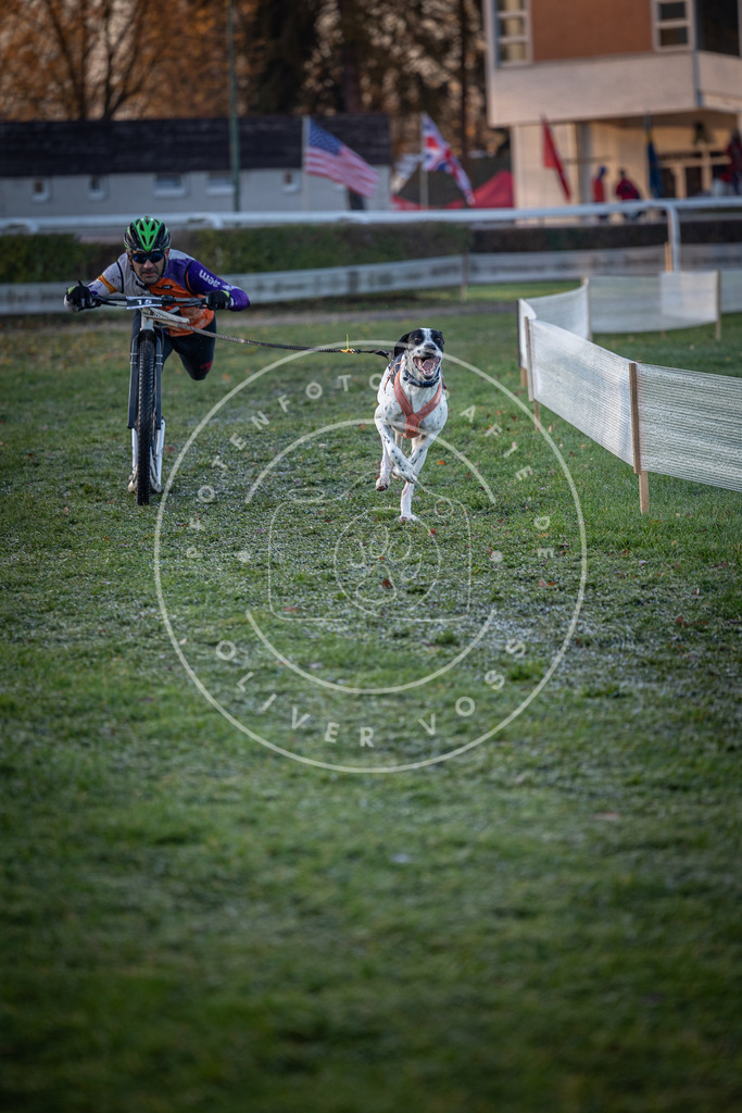 CaniXpix_0L8A1171 | Hundefotografie, Tierfotograf, Pfotenfotografie, Fotoshooting Hund, Hunde Portrait, Hundesport, Hundeportraits, Heideshooting, Hunde, Sportfotograf, Hundefotograf, Turnierhundsport, THS,  - Realisiert mit Pictrs.com