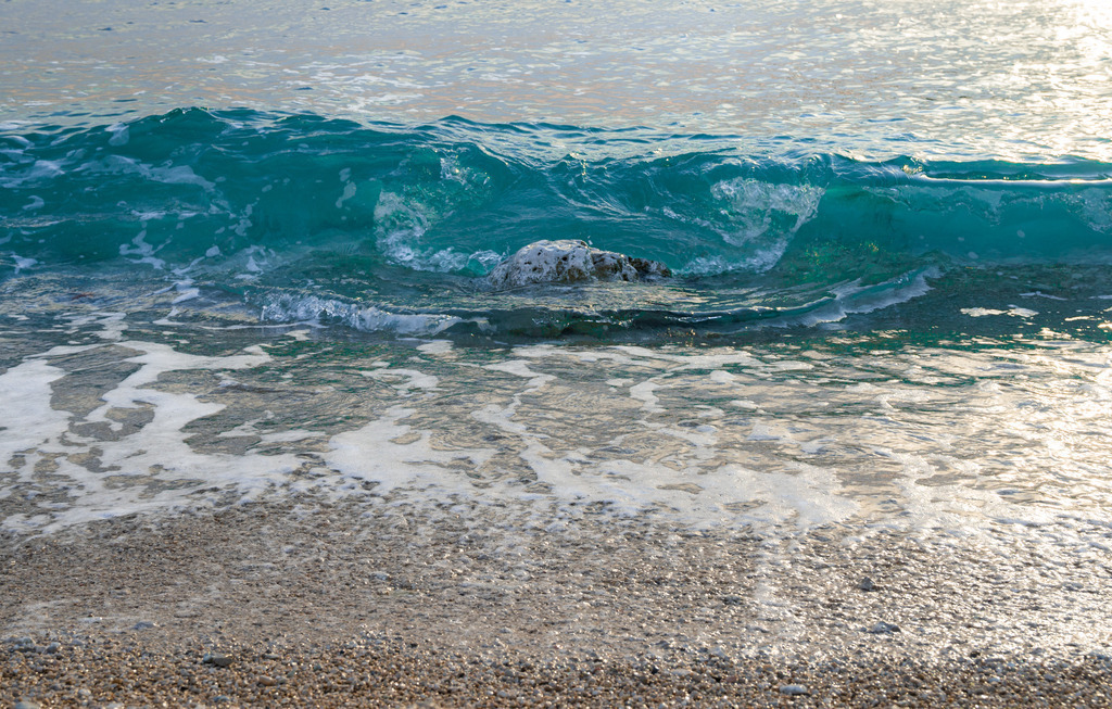 _DSC2722-2 | renerovisanfotoart.com