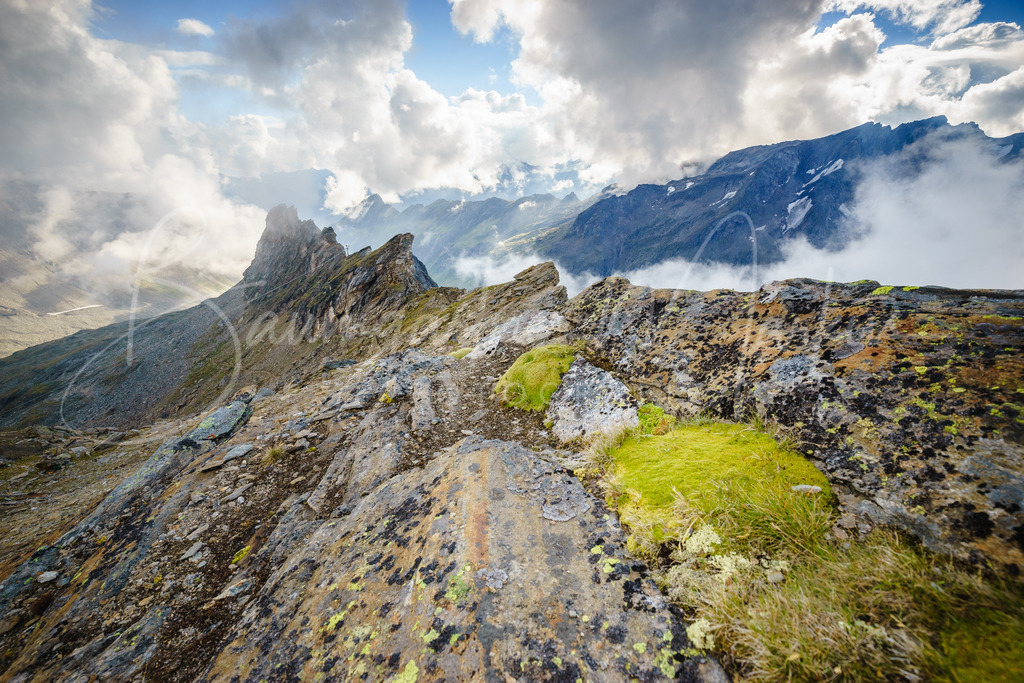 _DSC9923 | Baumgartner Markus Fotografie