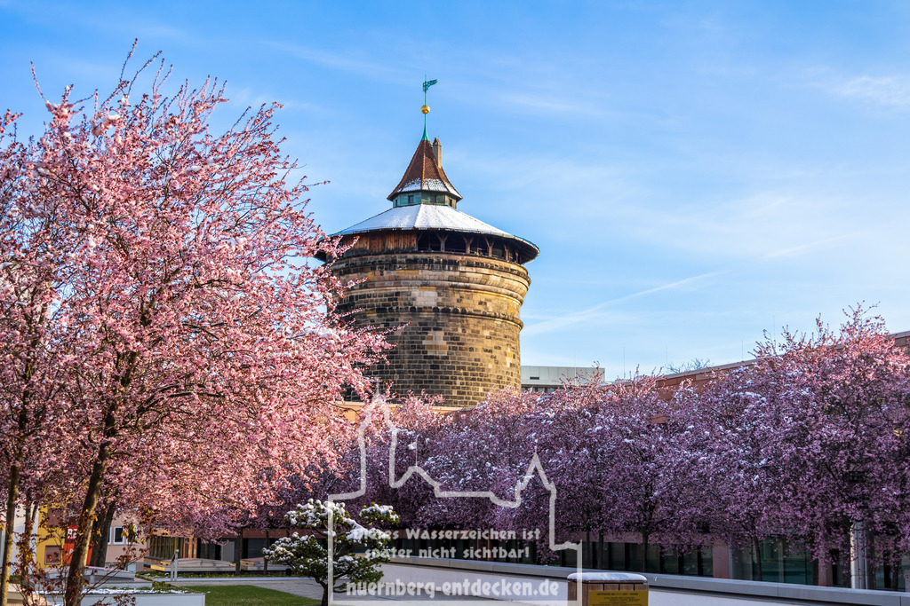 Eis-Kirschblüten am Laufer Torturm | Die Aussicht auf den Sebalderhöfen in Nürnberg ist im April für Kirschblüten-Fotos bekannt. In diesem Jahr bietet sich aber ein seltenes Schauspiel, die Kirschblüten konnte man in diesem Jahr auch in Schnee oder Eis gehüllt fotografieren.  - Realisiert mit Pictrs.com