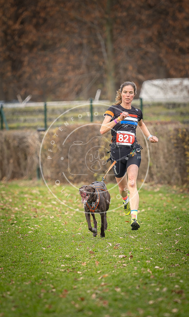 CaniXpix_DV3A6344 | Hundefotografie, Tierfotograf, Pfotenfotografie, Fotoshooting Hund, Hunde Portrait, Hundesport, Hundeportraits, Heideshooting, Hunde, Sportfotograf, Hundefotograf, Turnierhundsport, THS,  - Realisiert mit Pictrs.com