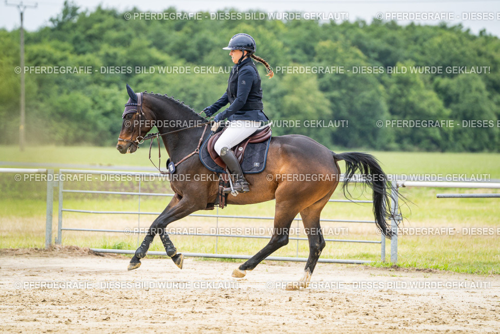 DSC02396 | Pferdegrafie