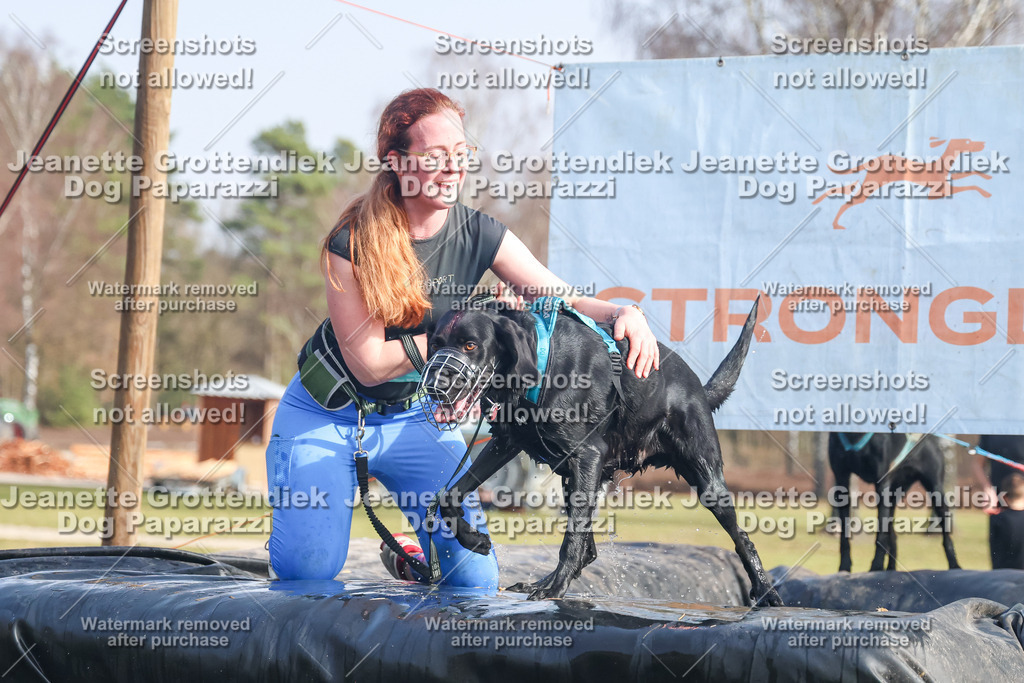 Dog Paparazzi - Strongdog North Mrz26-2178 | Dog Paparazzi Jeanette Grottendiek Fotografie & Videografie - Realisiert mit Pictrs.com
