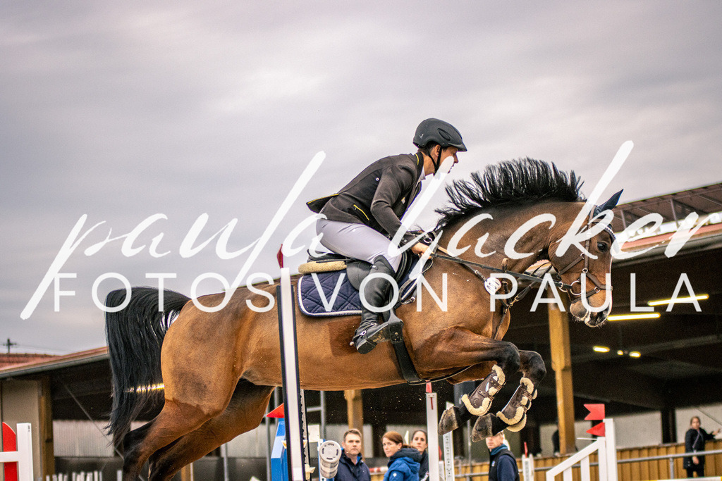 IMG_6268 | Erleben Sie dynamische Sport- und emotionale Tierfotografie in Süddeutschland mit Fotos von Paula. Spezialisiert auf Pferde- und Hundefotografie sowie Sportevents. Kontaktieren Sie mich für einzigartige und ausdrucksstarke Bilder Ihrer besonderen Momente.