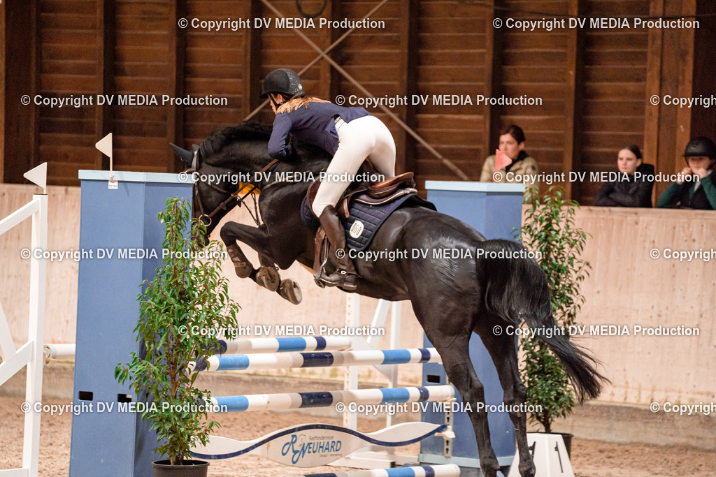 Springen Tag 2-055 | dv-media-shop - Realisiert mit Pictrs.com