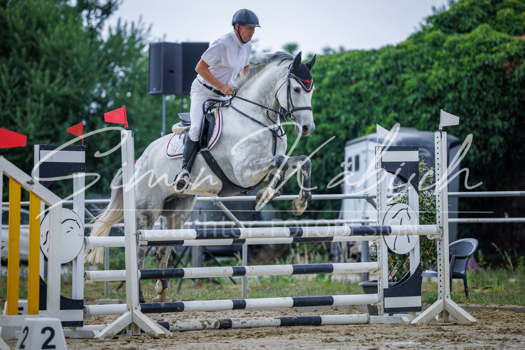 20260705-_3LI4288 | Tierfotografie Pferde, Hunde, Katzen, Haustiere.
Turnierfotografie Reitturniere, Reiten, Springreiten, Dressur in Hanau, dem Main-Kinzig-Kreis und dem Rhein-Main- Gebiet um Frankfurt