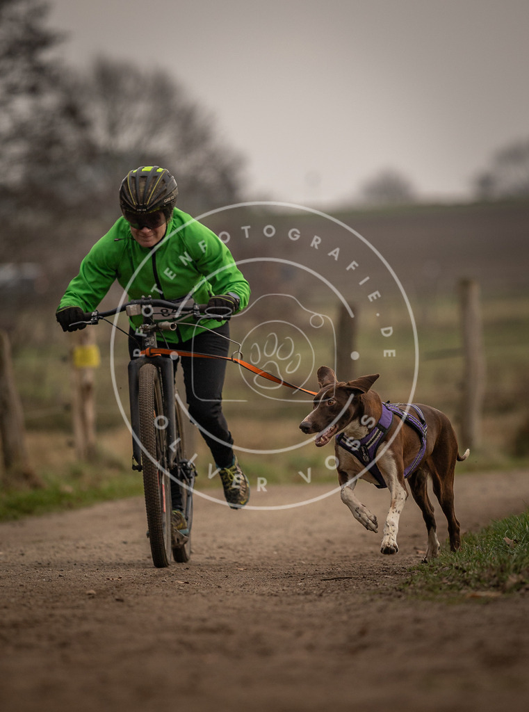 Pfotenfotografie_DV3A4032 | Hundefotografie, Tierfotograf, Pfotenfotografie, Fotoshooting Hund, Hunde Portrait, Hundesport, Hundeportraits, Heideshooting, Hunde, Sportfotograf, Hundefotograf, Turnierhundsport, THS,  - Realisiert mit Pictrs.com