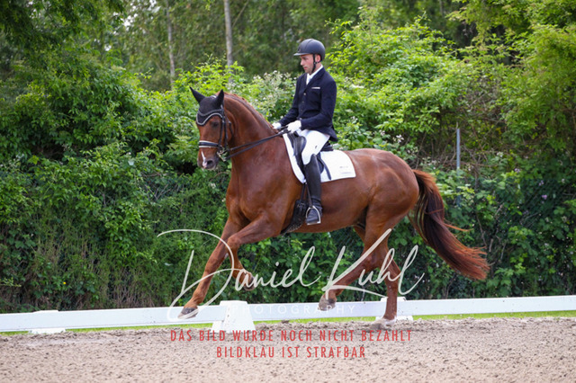 DKP40906 | Turnierfotos kaufen im Webshop von Daniel Kuhl Photography – entdecke professionelle Reitsportfotos aus Turnieren & Events. Hochwertige Turnierbilder online bestellen & sichern. Jetzt Fotos von Reitsportturnieren kaufen!