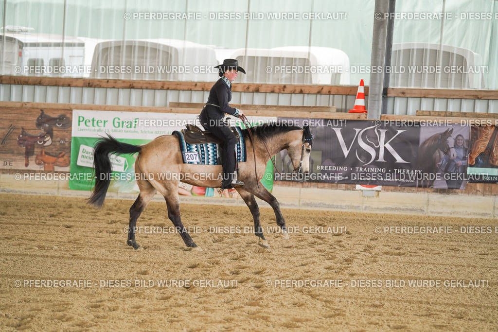 DSC09861 | Pferdegrafie