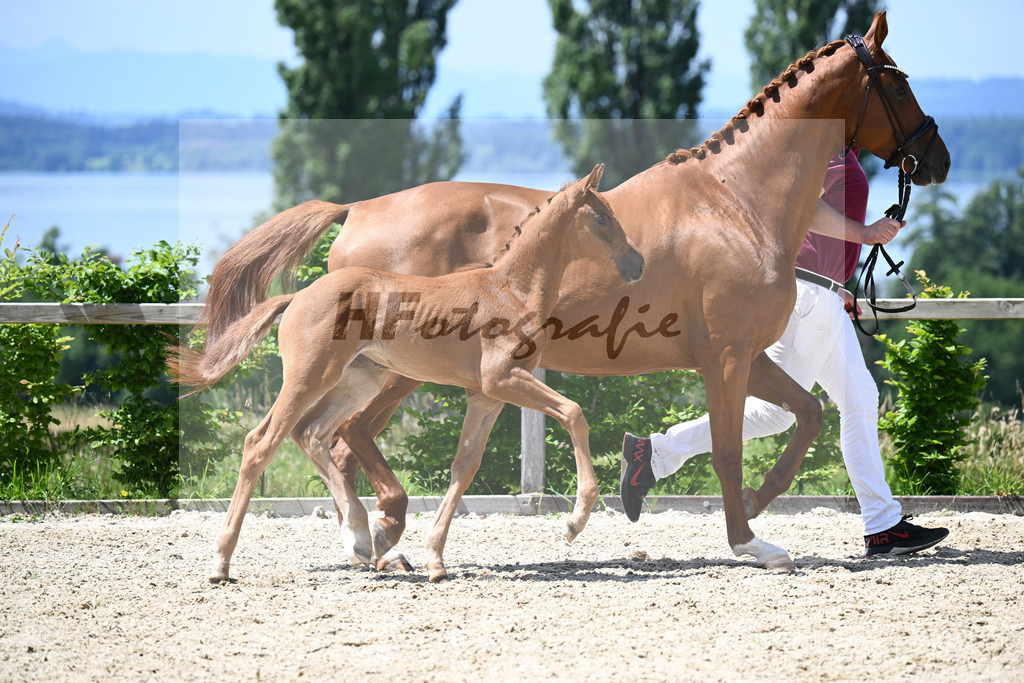 Va Bene x Zackman M_SF_Bauer_19240430 | hf-fotografie - Realisiert mit Pictrs.com