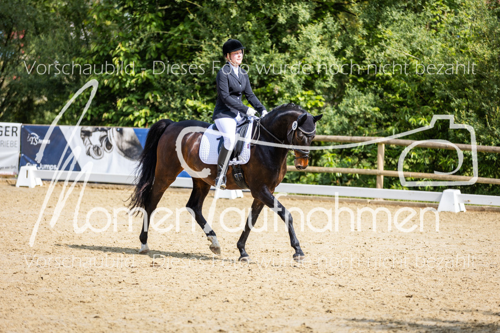 Donop24-A2-Dre-077 | MomenTaufnahmen Pferdesportfotos