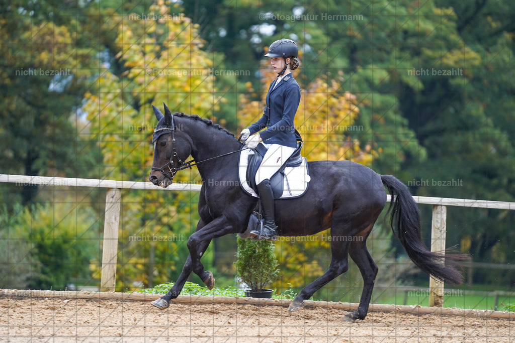 20221008-FAH00938 | Diessen am Ammersee, 2022, Dressur- und Springturnier, Reitsportbilder, Turnierfotografen Bayern, Pferdefotografen, Fotoagentur Herrmann, Turnierbilder