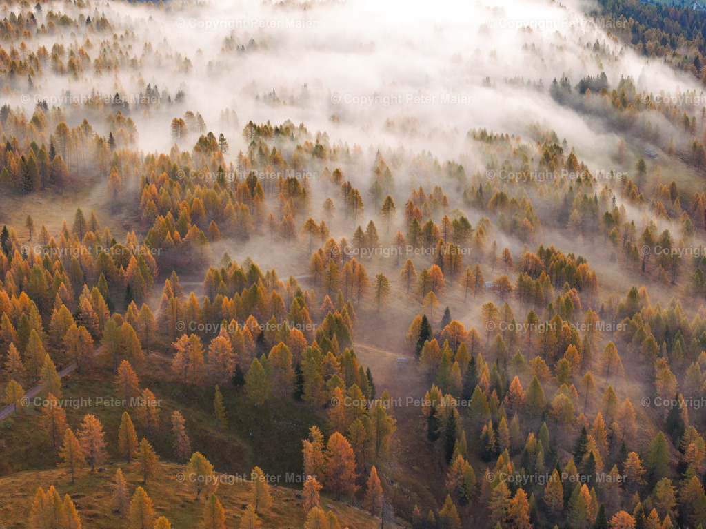 Lesachtal_Herbst-47 | default