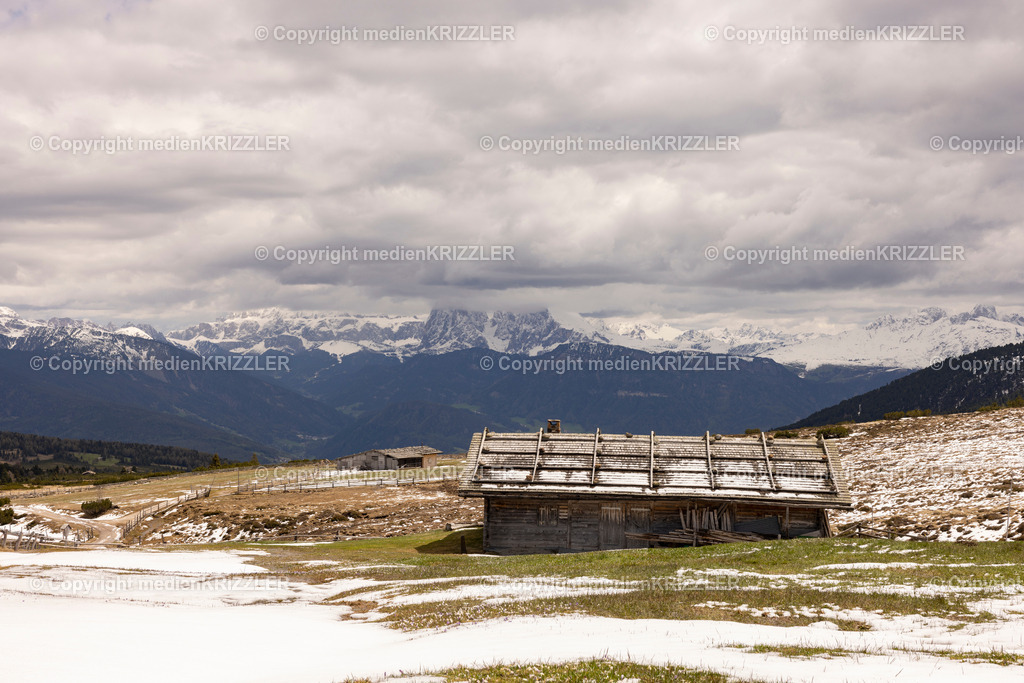 _J3A0846 | medienkrizzler - Realisiert mit Pictrs.com