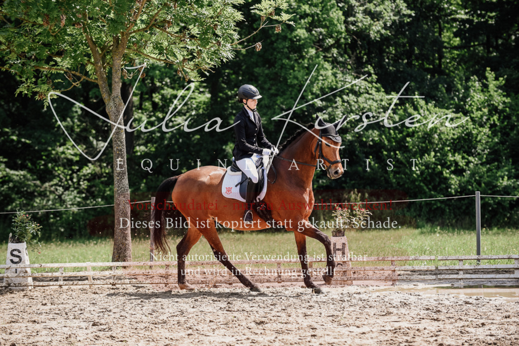 DSC_1022 | Pferde- und Turnierfotografie in Westsachsen. Pferdeportraits, Auftragszeichnungen und intuitive Kunst.