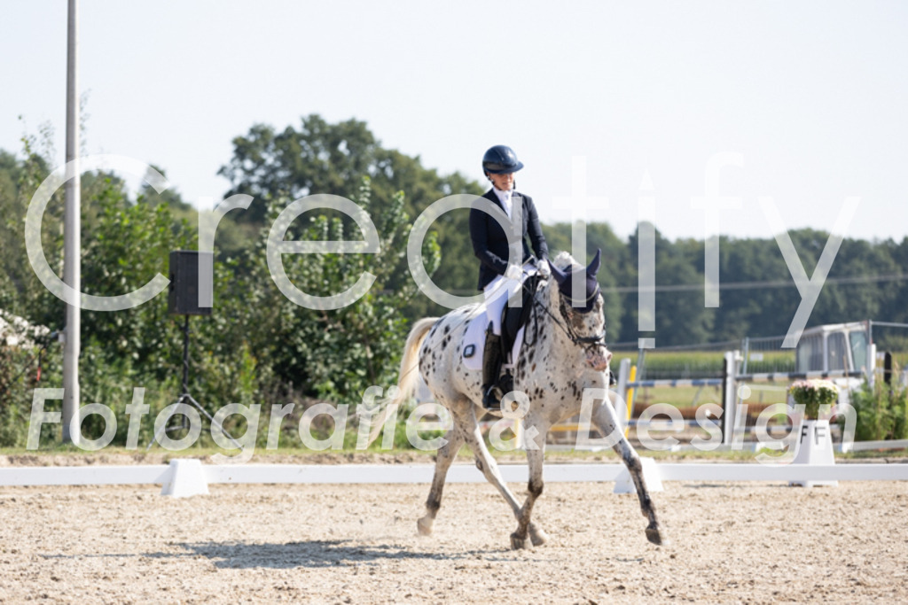 IMG_4626 | Creatify Fotografie