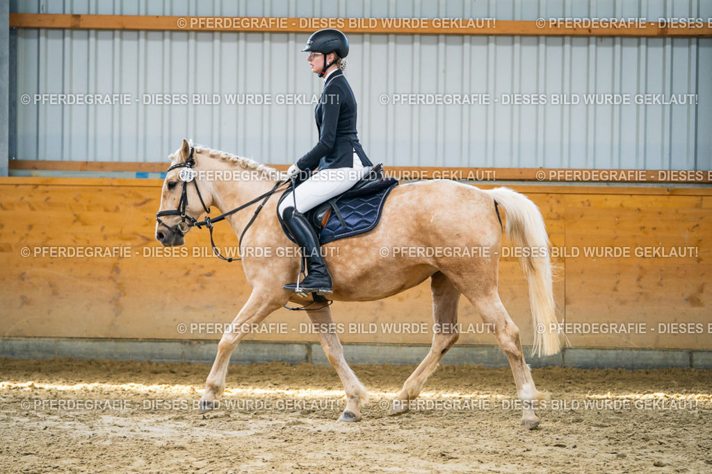 DSC01840 | Pferdegrafie