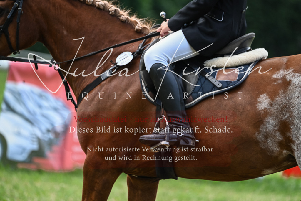 DSC_8650 | Pferde- und Turnierfotografie in Westsachsen. Pferdeportraits, Auftragszeichnungen und intuitive Kunst.