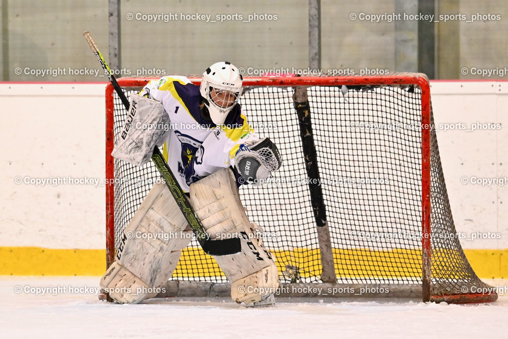 BST_6465 | hockey sports photos, Pressefotos, Sportfotos, hockey247, win 2day icehockeyleague, Handball Austria, Floorball Austria, ÖVV, Kärntner Eishockeyverband, KEHV, KFV, Kärntner Fussballverband, Österreichischer Volleyballverband, Alps Hockey League, ÖFB, 